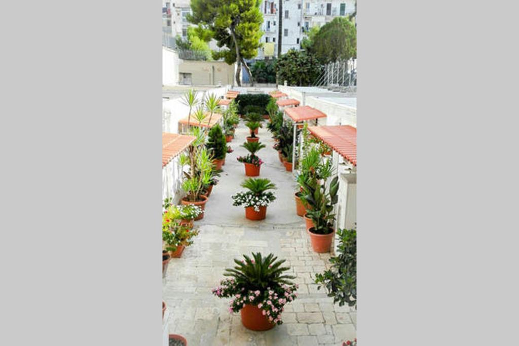 Al Cortile Daire Bari Dış mekan fotoğraf
